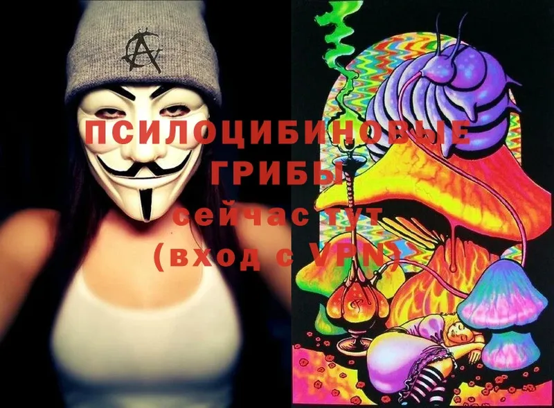 OMG tor  Знаменск  Галлюциногенные грибы Cubensis  где найти  